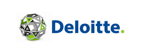 Deloitte 2016