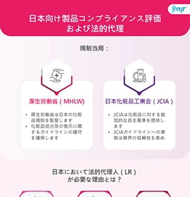 Product Compliance Assessment and Legal Representation for Japan